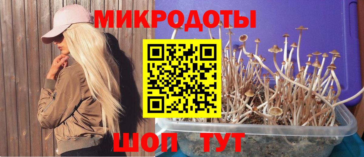 Псилоцибиновые грибы Psilocybine cubensis  Вход с VPN  Бутурлиновка  как найти закладки  Псилоцибиновые грибы ЛСД 