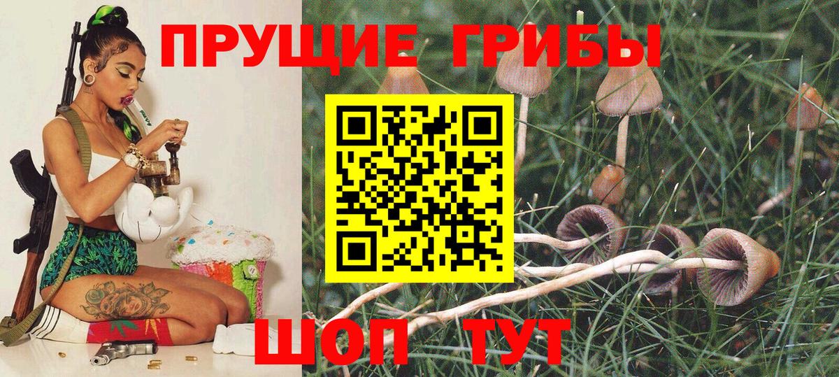 Галлюциногенные грибы Magic Shrooms Бутурлиновка